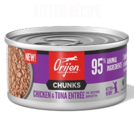 ORI Chunks kitten